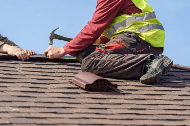Best Roof Waterproofing Services  in Luck, WI