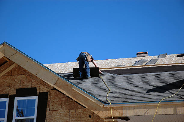 Best Roof Repair Services  in Luck, WI