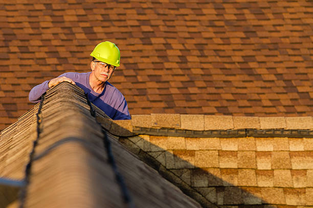 Best New Roof Installation  in Luck, WI