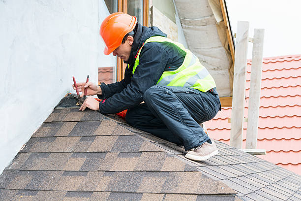 Best Roof Gutter Cleaning  in Luck, WI